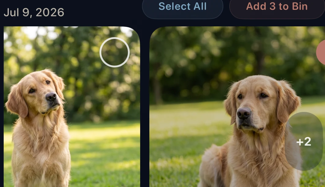Actual CleanLens similar-photo group showing repeated dog photos and Add to Bin controls